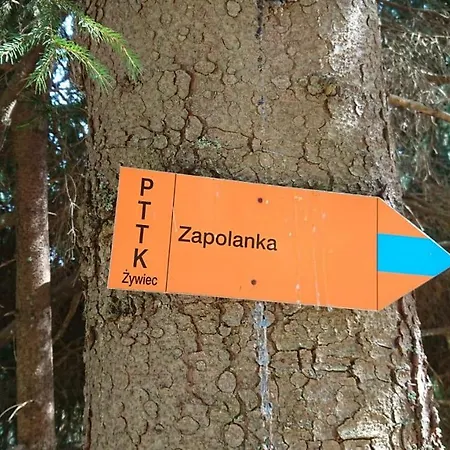 Dom wakacyjny Zapolanka *